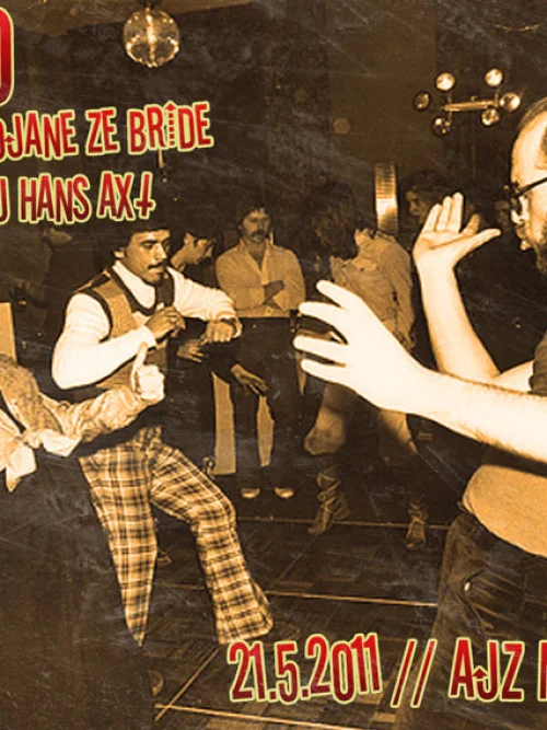 Flyer: DISKO