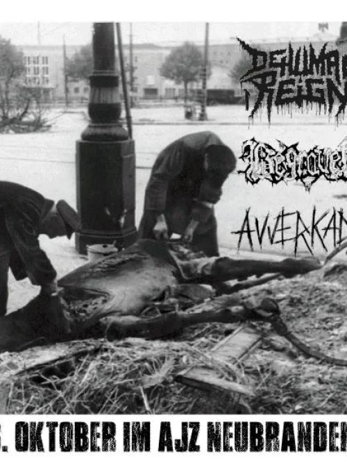Flyer: DEHUMAN REIGN + BEGRAVEN + AVVERKAD