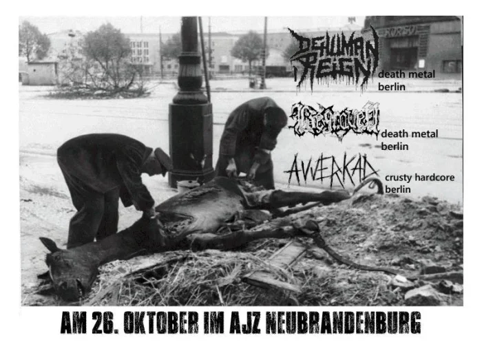 Flyer: DEHUMAN REIGN + BEGRAVEN + AVVERKAD