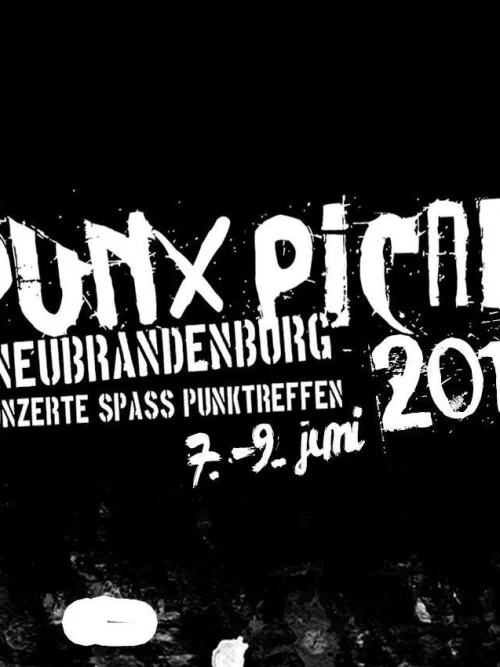 Flyer: Punx PicNic 2013