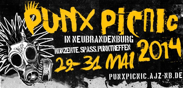 Flyer: PUNX PICNIC 2014