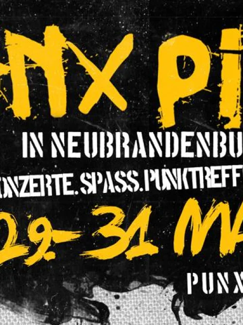 Flyer: PUNX PICNIC 2014