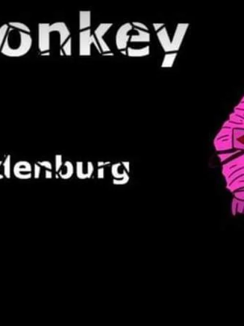 Flyer: PINK MONKEY