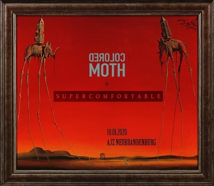 Flyer: SUPERCOMFORTABLE + COLORED MOTH