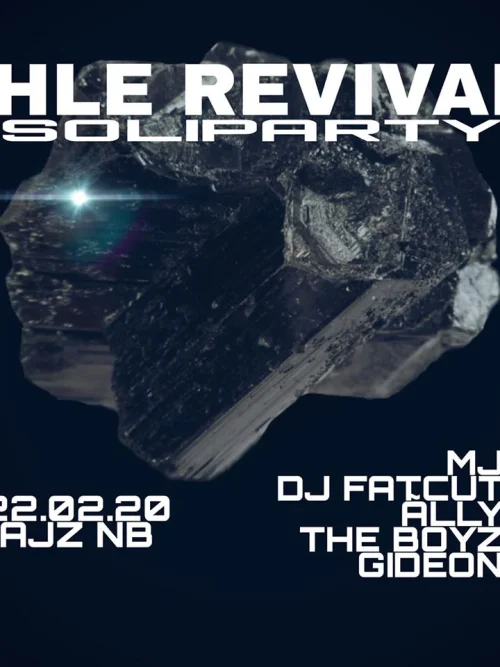 Flyer: SOLIDISKO IHLE REVIVAL