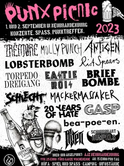 Flyer: PUNX PICNIC