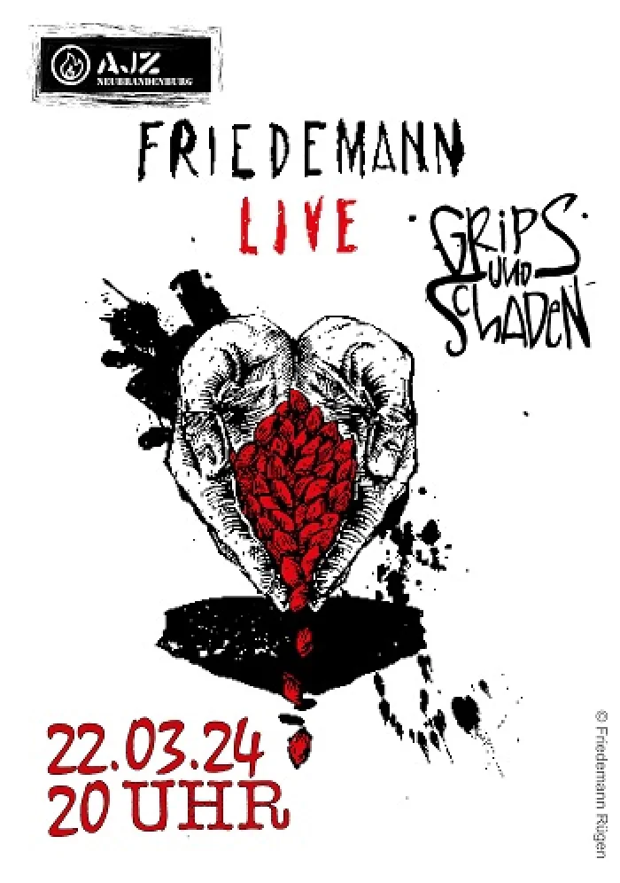 Flyer: FRIEDEMANN + GRIPS UND SCHADEN