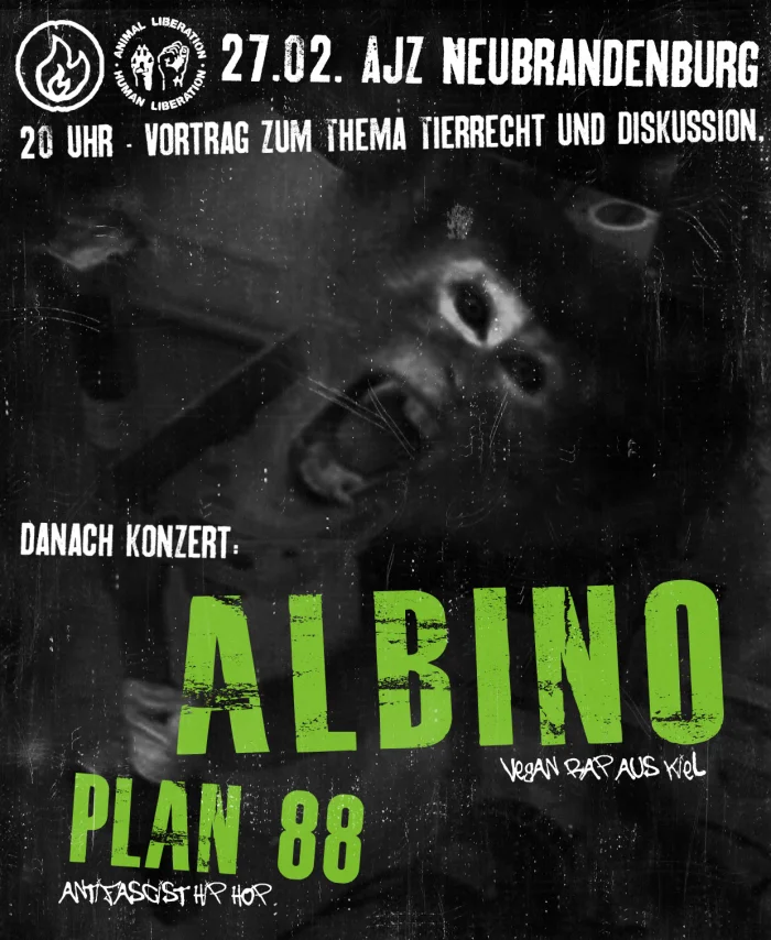 Flyer: ALBINO + MADCAP + PLAN 88