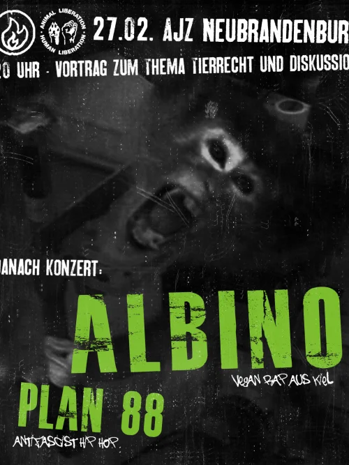 Flyer: ALBINO + MADCAP + PLAN 88