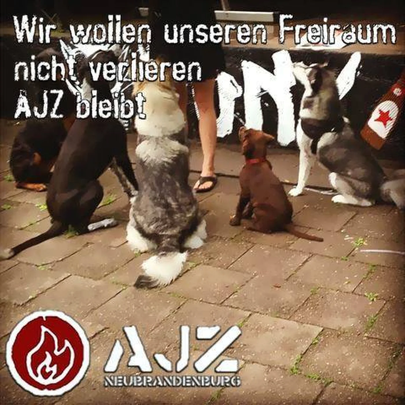bild0_1402604038.jpg &ndash; Bild 11